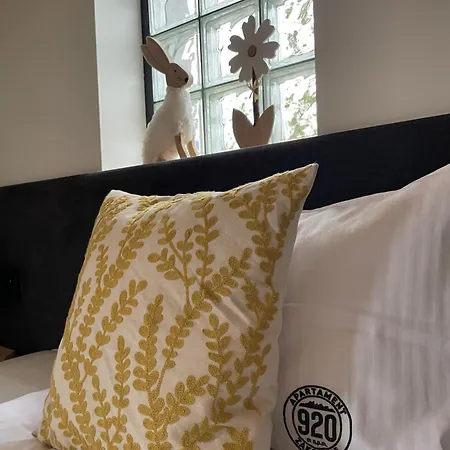 920m N.p.m. * 扎科帕内