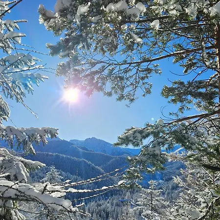 920m N.p.m. * Zakopane