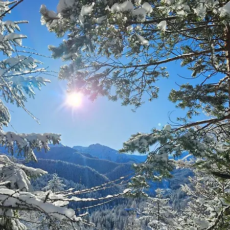 920m N.p.m. * Zakopane
