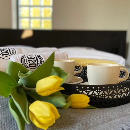 920m N.p.m. Zakopane