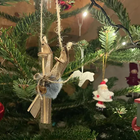 Appartement 920m N.p.m.