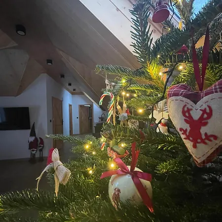 Appartement 920m N.p.m.