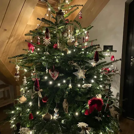 Appartement 920m N.p.m. *